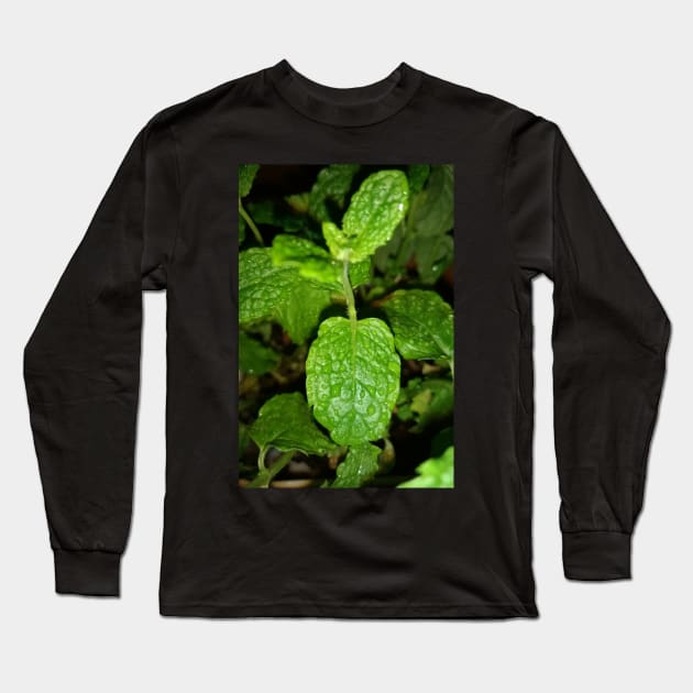 Mint plant leaves Long Sleeve T-Shirt by Crea Twinkles